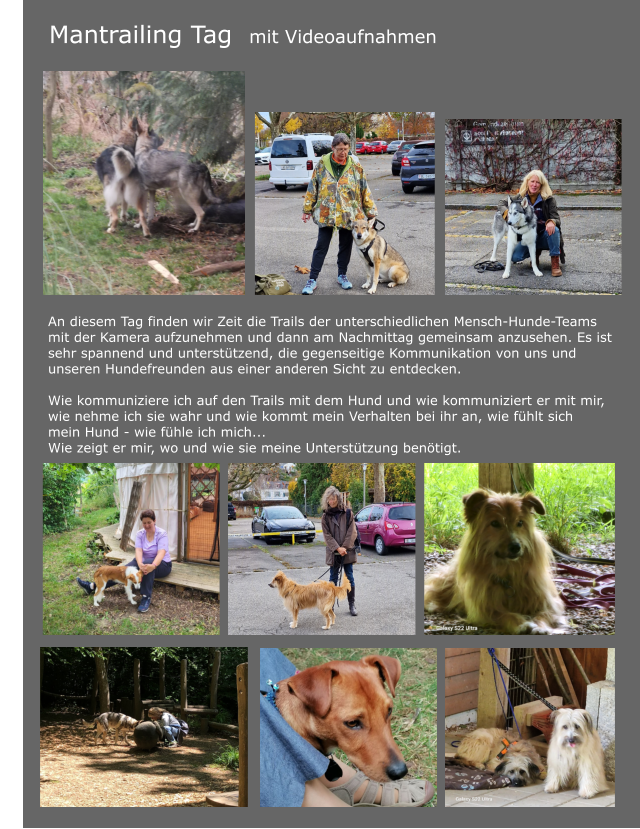 Mantrailing Tag  mit Videoaufnahmen	 				 				     	 	         	  	An diesem Tag finden wir Zeit die Trails der unterschiedlichen Mensch-Hunde-Teams mit der Kamera aufzunehmen und dann am Nachmittag gemeinsam anzusehen. Es ist sehr spannend und unterstützend, die gegenseitige Kommunikation von uns und unseren Hundefreunden aus einer anderen Sicht zu entdecken.   	Wie kommuniziere ich auf den Trails mit dem Hund und wie kommuniziert er mit mir, wie nehme ich sie wahr und wie kommt mein Verhalten bei ihr an, wie fühlt sich  	mein Hund - wie fühle ich mich...  	Wie zeigt er mir, wo und wie sie meine Unterstützung benötigt.