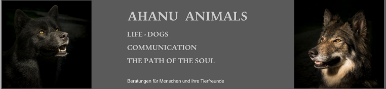 Beratungen für Menschen und ihre Tierfreunde LIFE  -  DOGS COMMUNICATION THE   PATH   OF   THE   SOUL   AHANU		ANIMALS